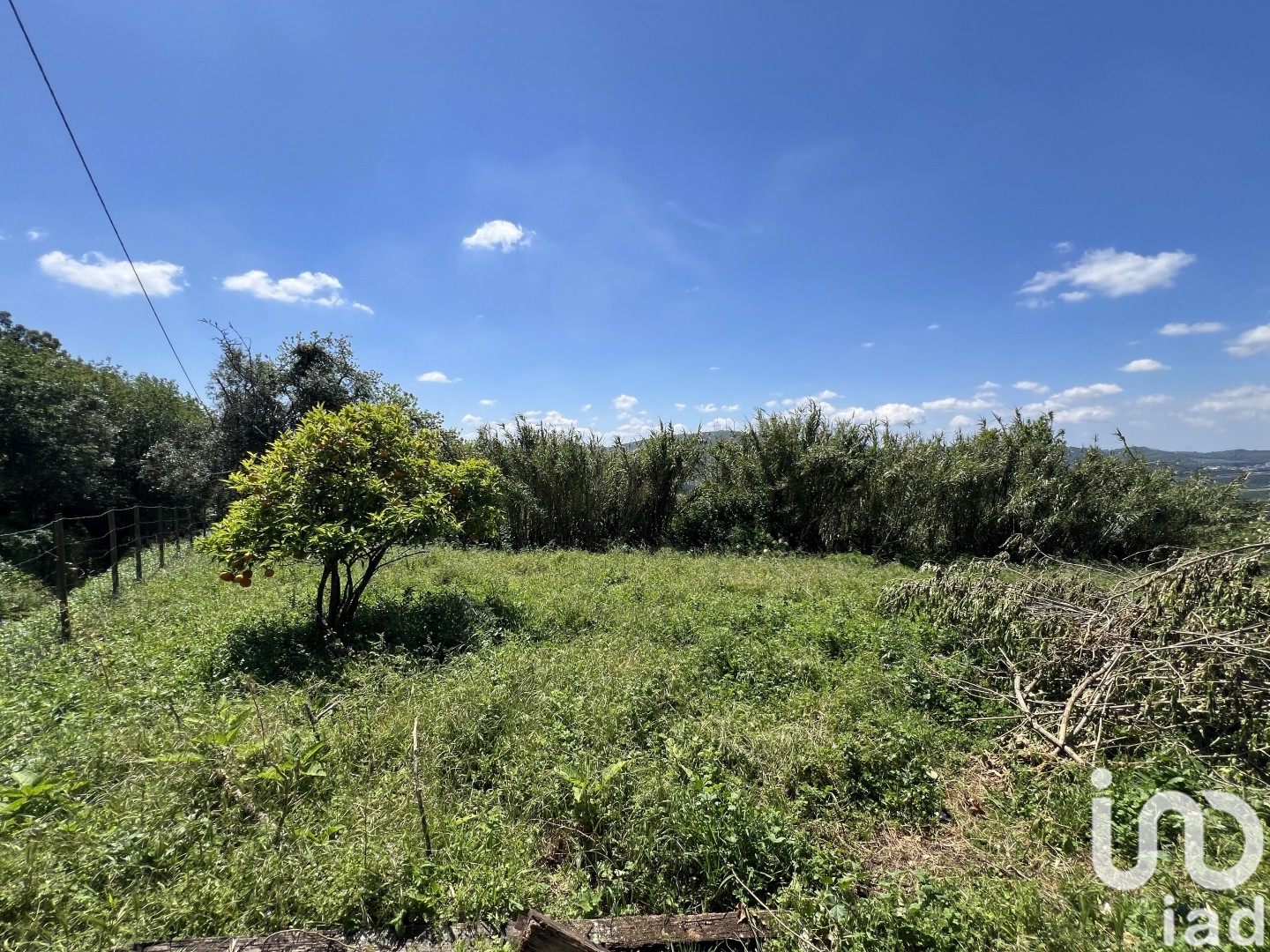 Moradia T0 à venda em São Miguel, Santa Eufémia e Rabaçal, Penela — foto 25