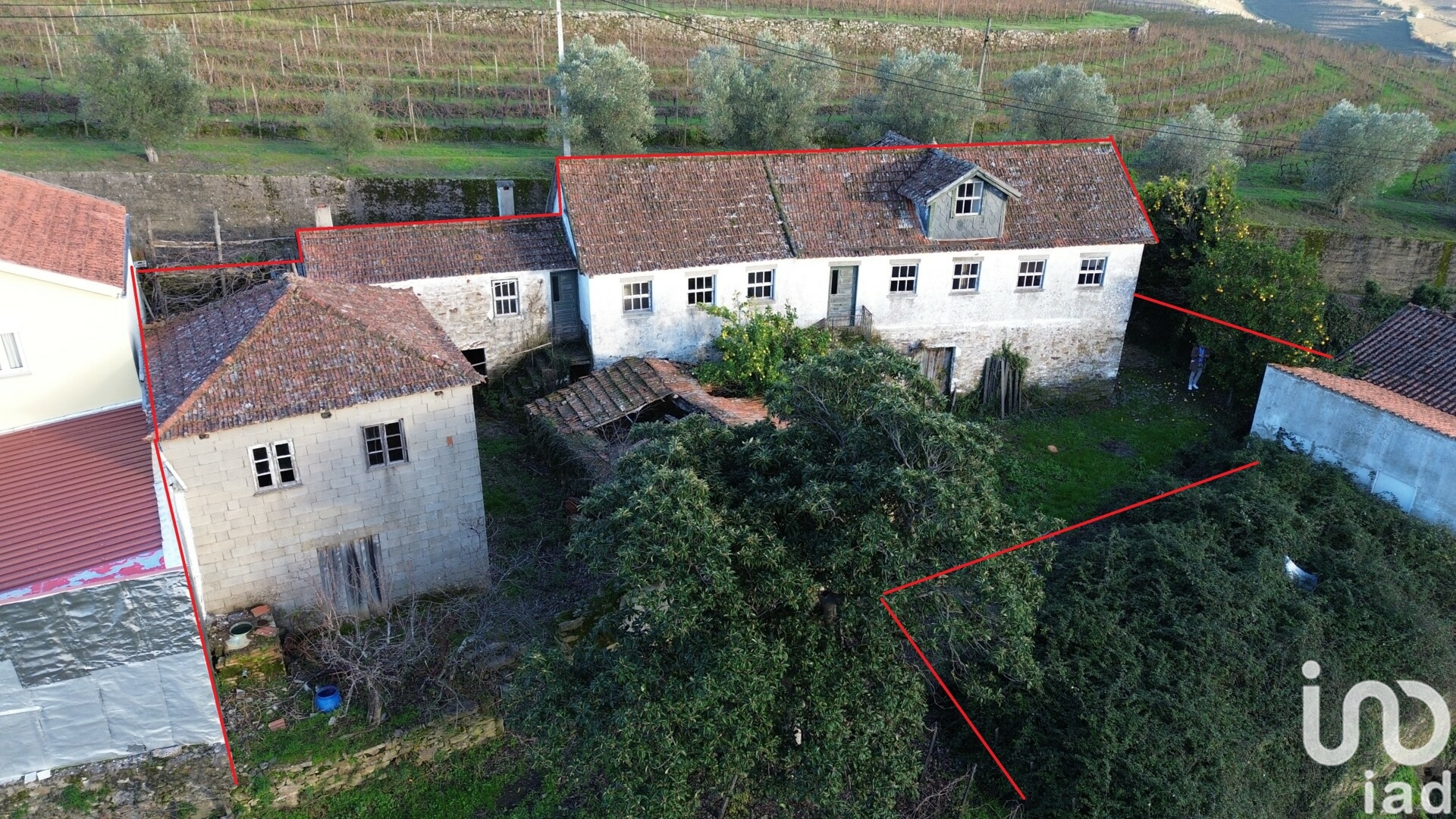 Moradia T3 à venda em Lobrigos (São Miguel e São João Baptista) e Sanhoane, Santa Marta de Penaguião — foto 3