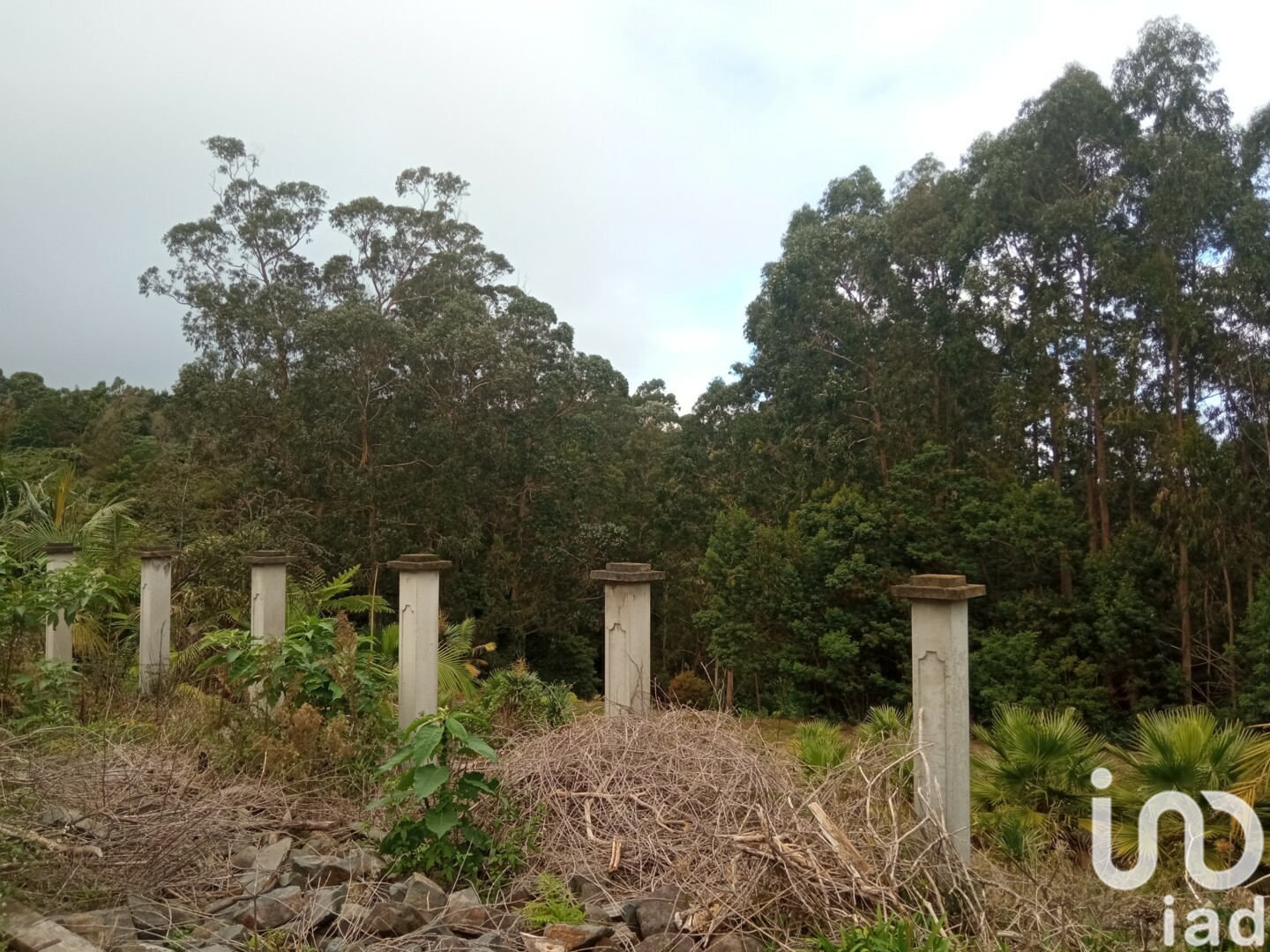 Moradia T3 à venda em São Jorge, Santana — foto 7