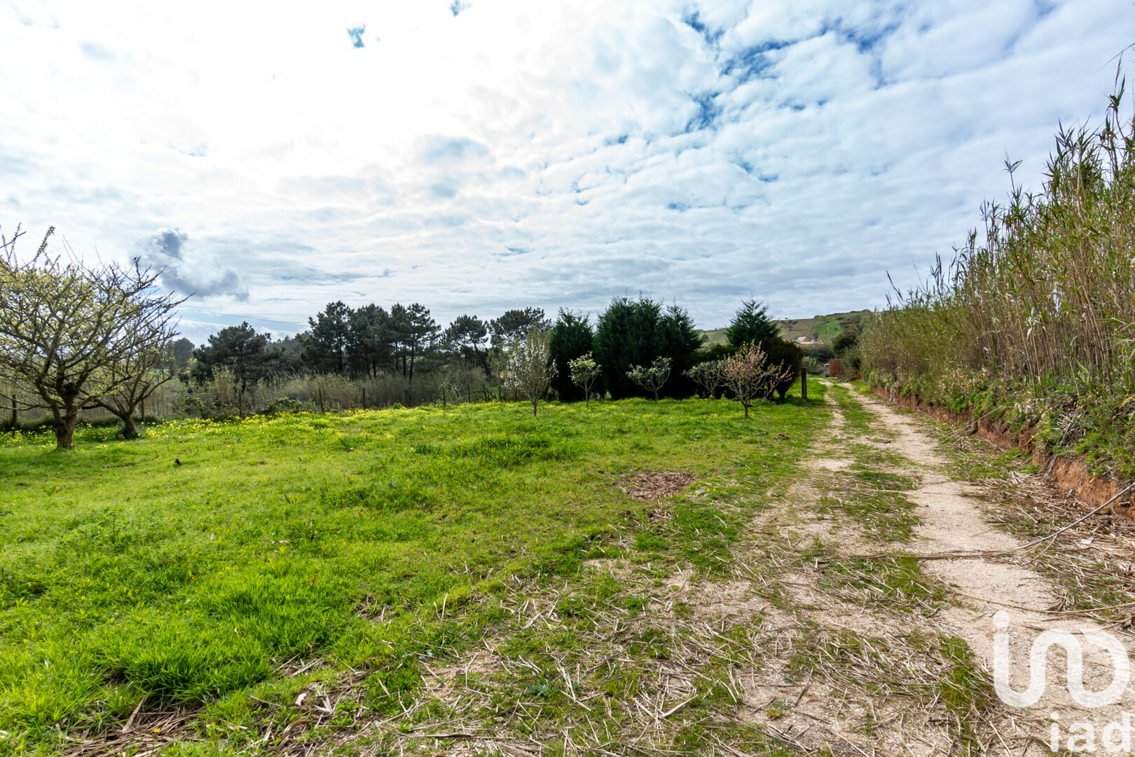 Moradia T6+ à venda em São Martinho do Porto, Alcobaça — foto 30