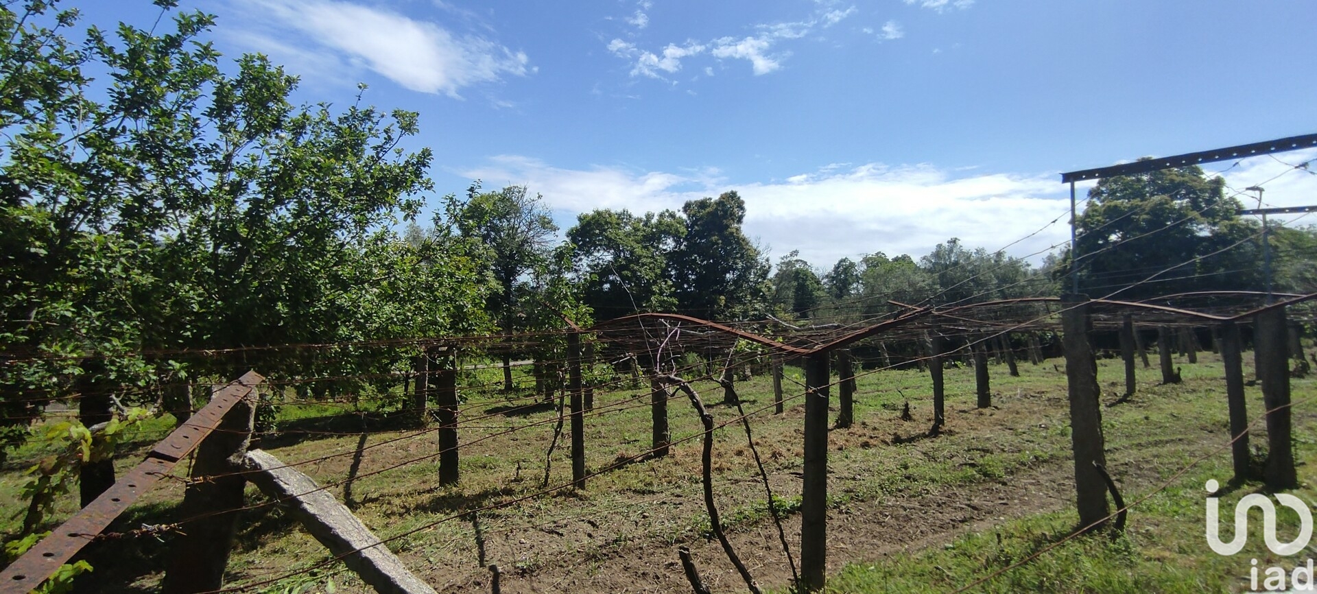 Moradia T2 à venda em Cardielos e Serreleis, Viana do Castelo — foto 7