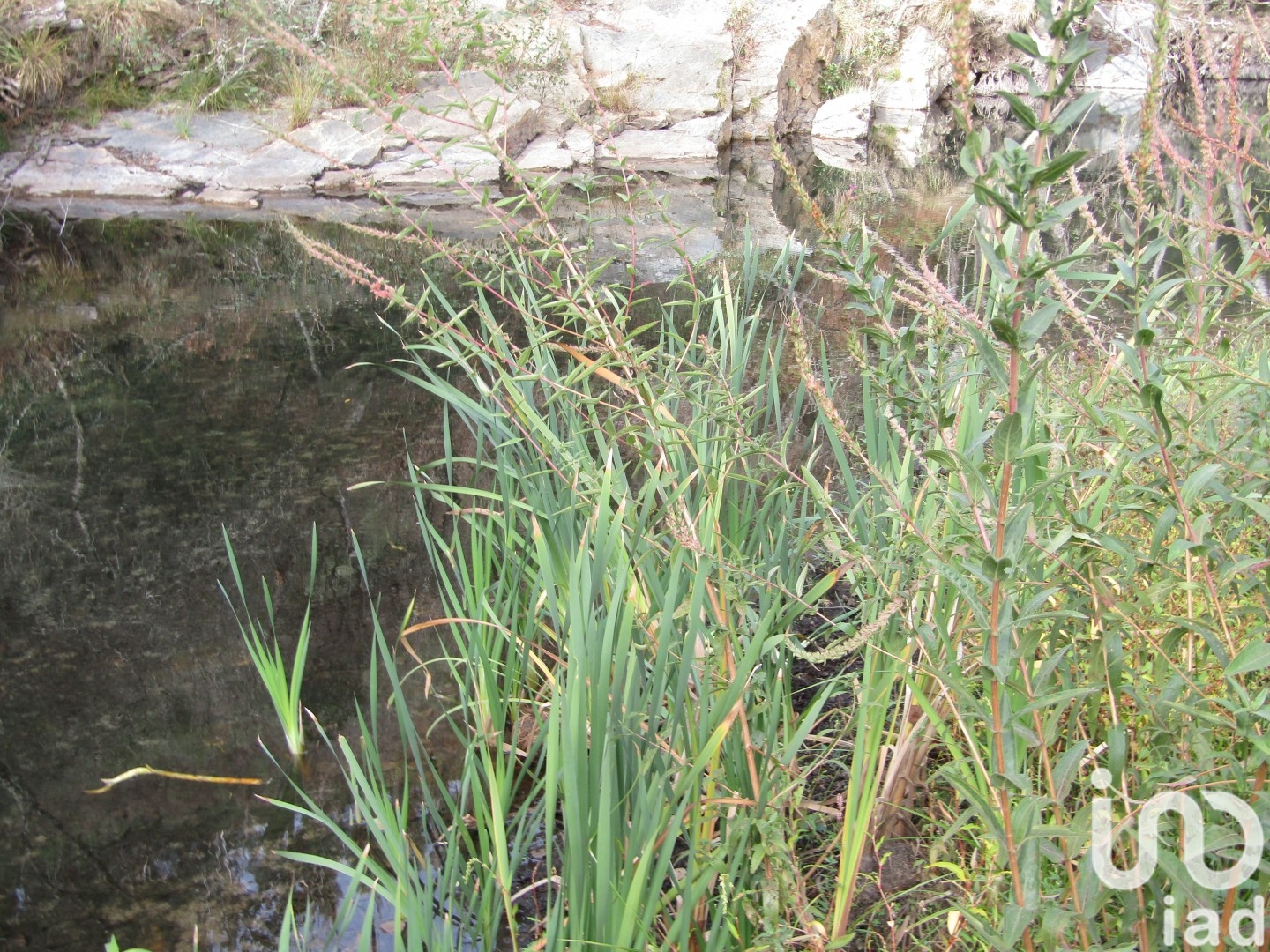 Moradia T0 à venda em Santiago de Montalegre, Sardoal — foto 15