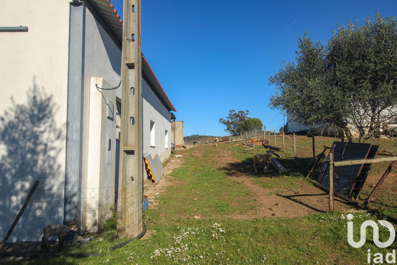 Moradia T0 à venda em Ameixial (Santa Vitória e São Bento), Estremoz — foto 4