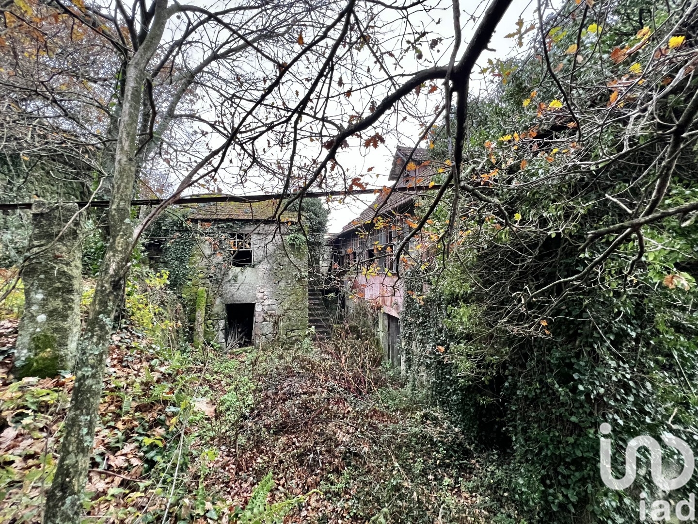 Moradia T0 à venda em São Vicente de Lafões, Oliveira de Frades — foto 18