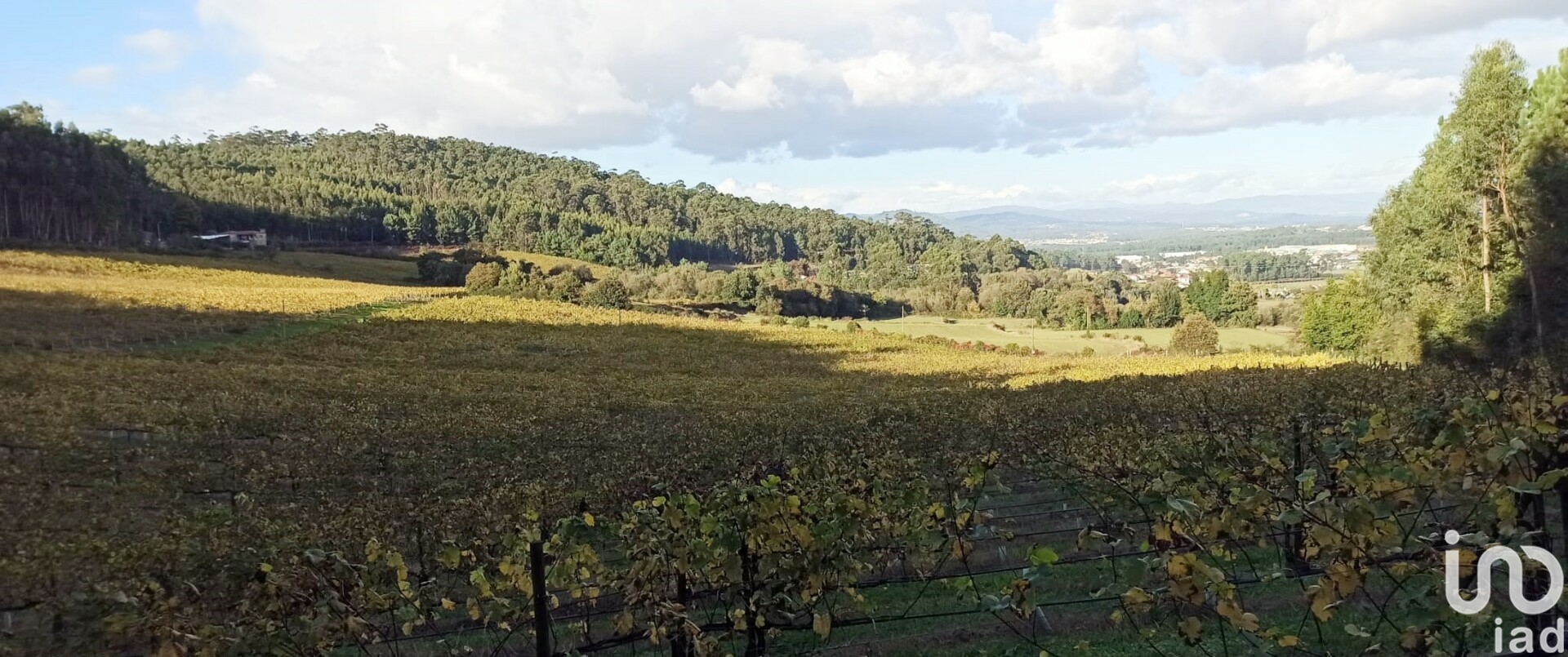 Moradia T3 à venda em Gamil e Midões, Barcelos — foto 6
