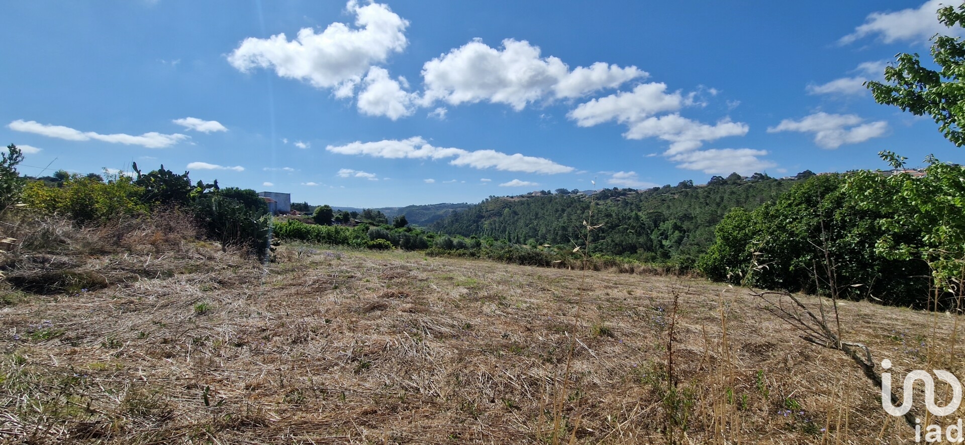 Moradia T0 à venda em Santo Isidoro, Mafra — foto 18