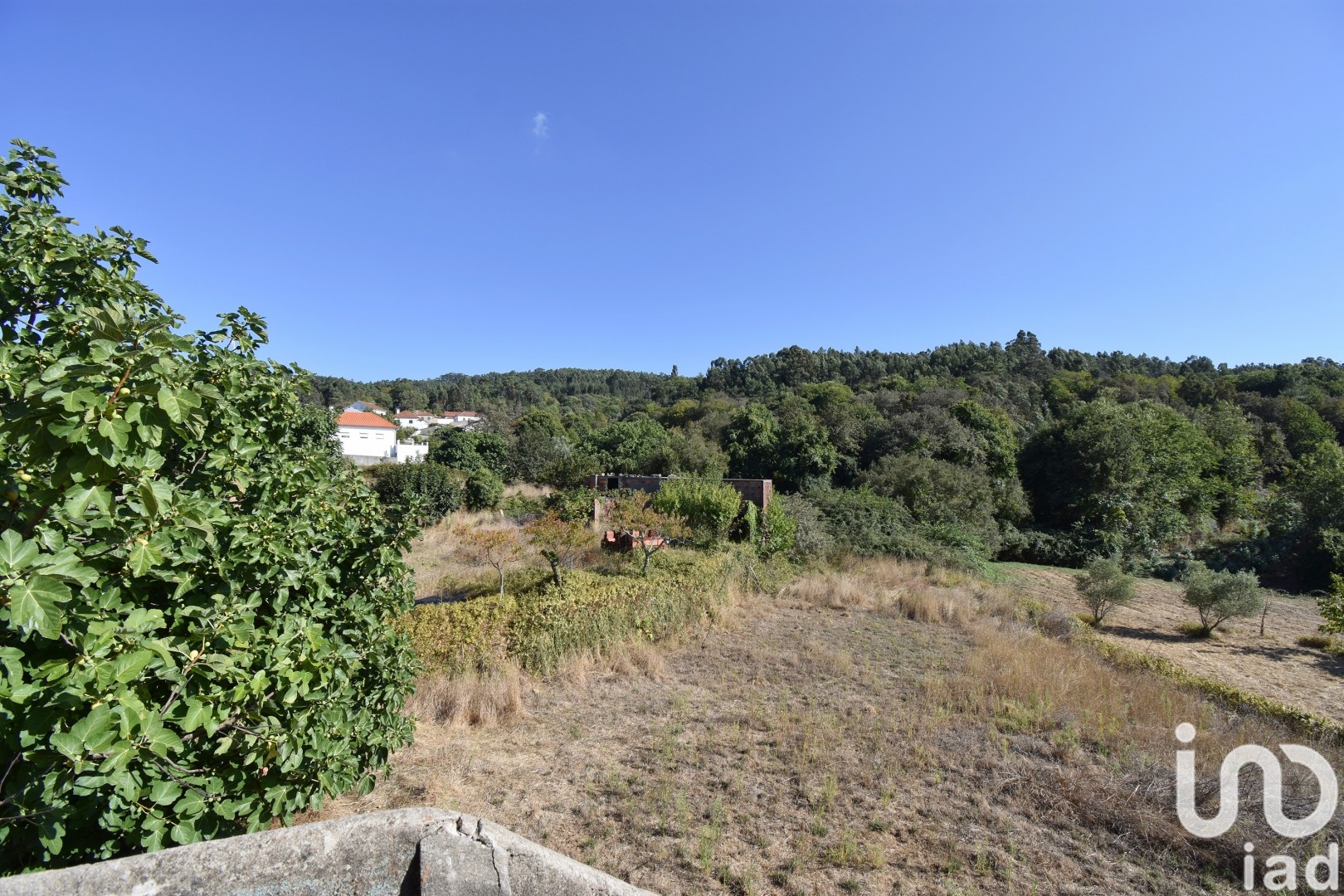 Moradia T4 à venda em São Miguel, Santa Eufémia e Rabaçal, Penela — foto 9