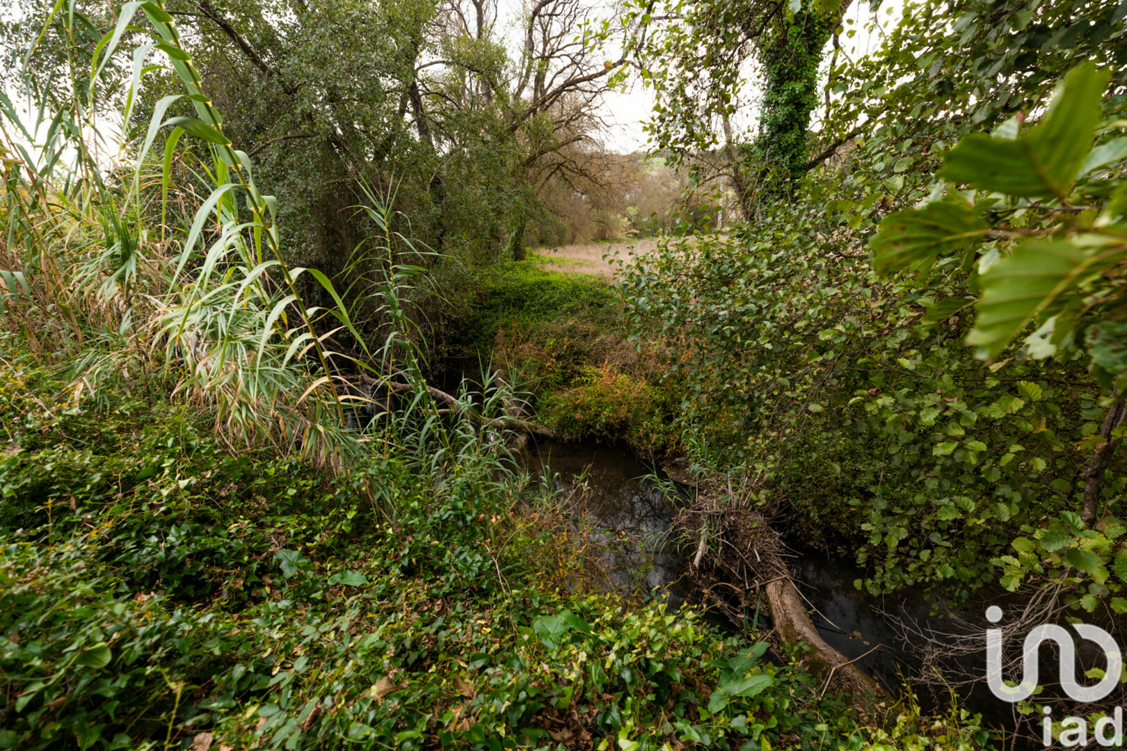 Moradia T1 à venda em Leiria, Pousos, Barreira e Cortes, Leiria — foto 6