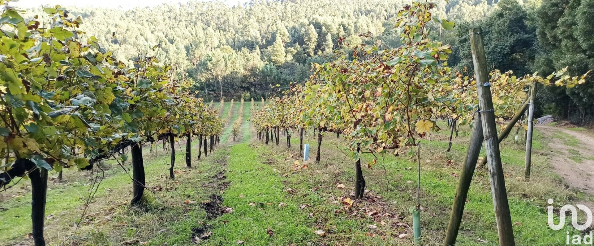 Moradia T3 à venda em Gamil e Midões, Barcelos — foto 7