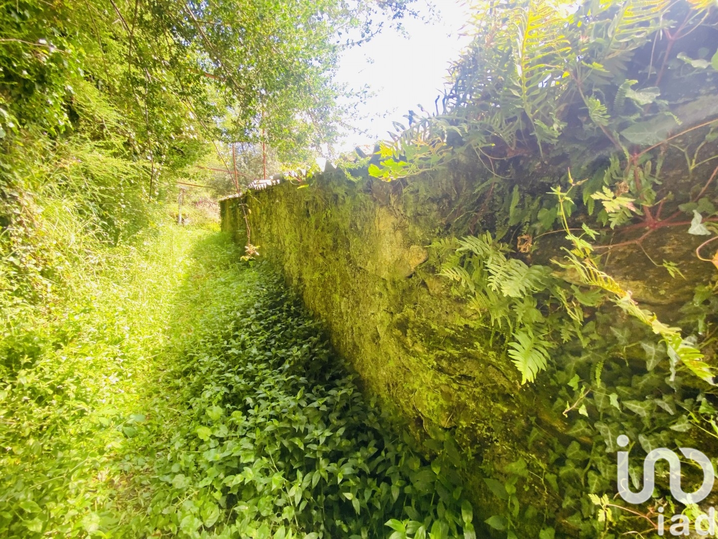 Moradia T6+ à venda em Candemil e Gondar, Vila Nova de Cerveira — foto 8