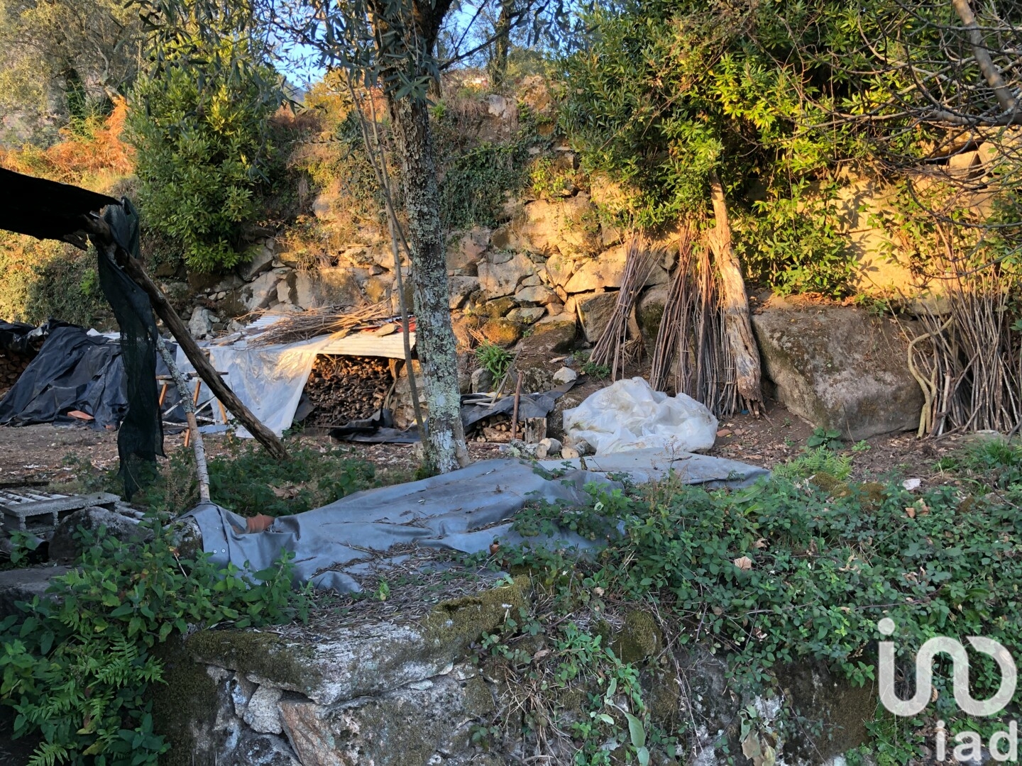 Moradia T4 à venda em Vilar de Ferreiros, Mondim de Basto — foto 21