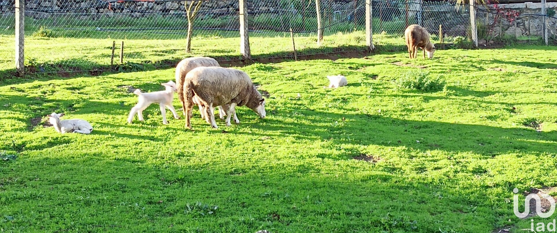 Moradia T3 à venda em Gamil e Midões, Barcelos — foto 25