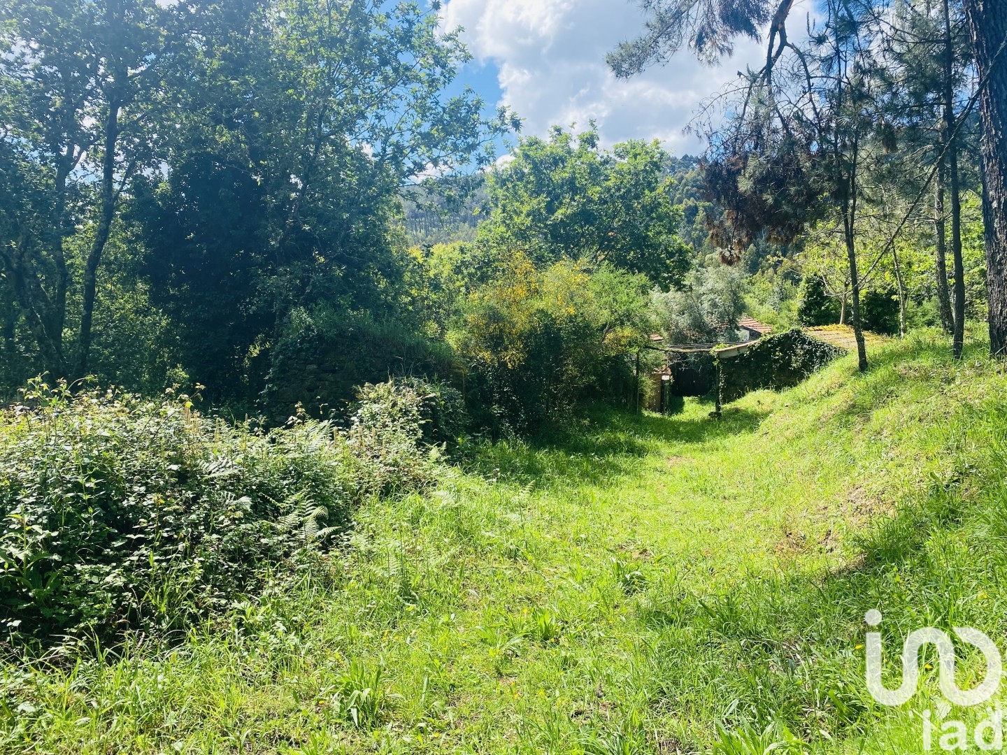 Moradia T6+ à venda em Candemil e Gondar, Vila Nova de Cerveira — foto 22