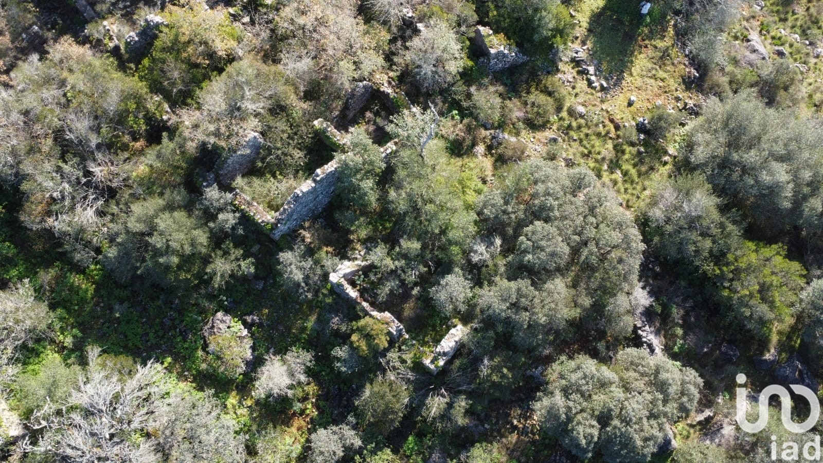 Moradia T0 à venda em Freixianda, Ribeira do Fárrio e Formigais, Ourém — foto 6