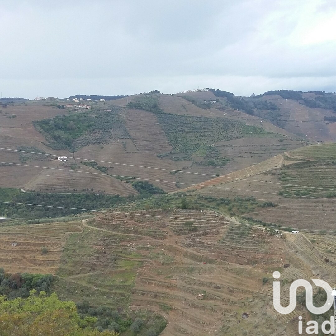 Moradia T6+ à venda em Gouvinhas, Sabrosa — foto 6
