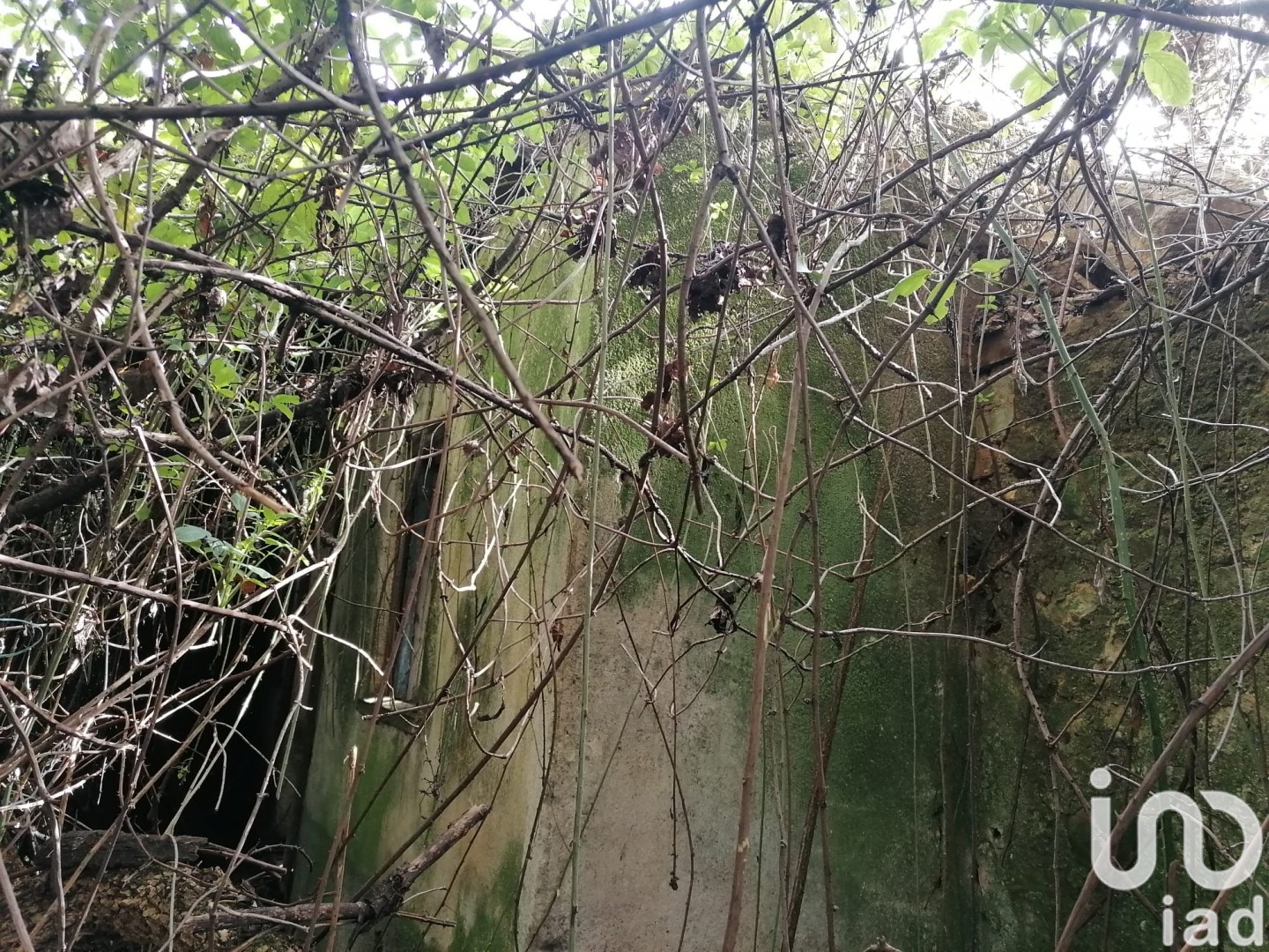 Moradia T2 à venda em Caxarias, Ourém — foto 6