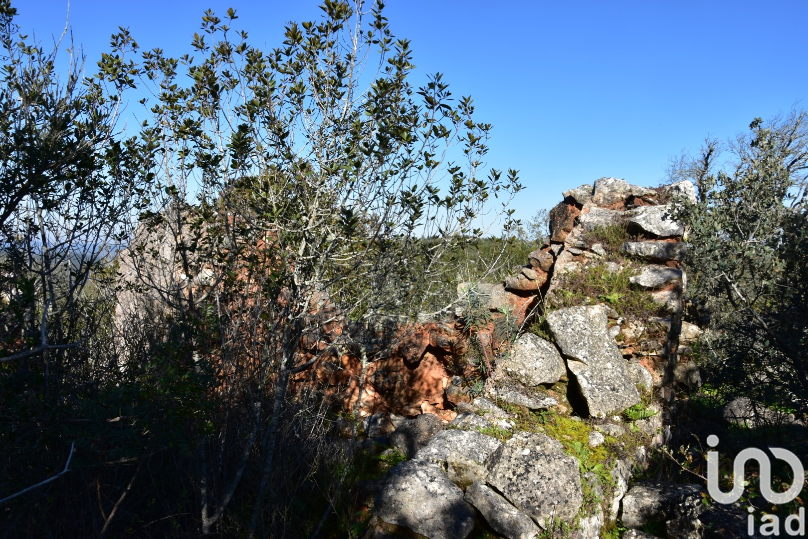 Moradia T0 à venda em Freixianda, Ribeira do Fárrio e Formigais, Ourém — foto 13