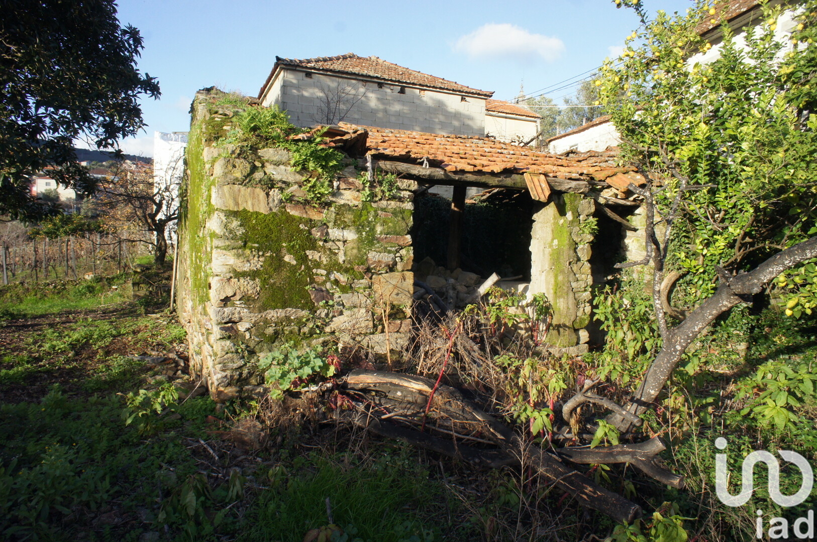 Moradia T3 à venda em Lobrigos (São Miguel e São João Baptista) e Sanhoane, Santa Marta de Penaguião — foto 18