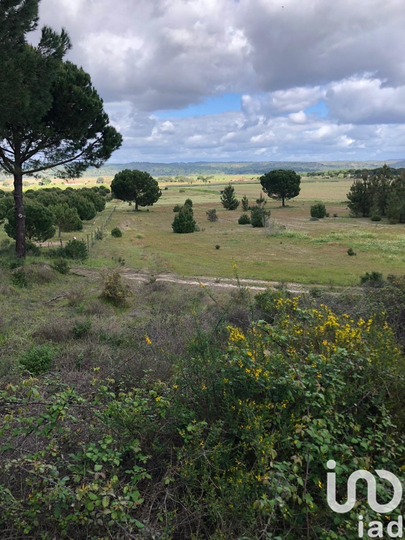 Moradia T3 à venda em Couço, Coruche — foto 9