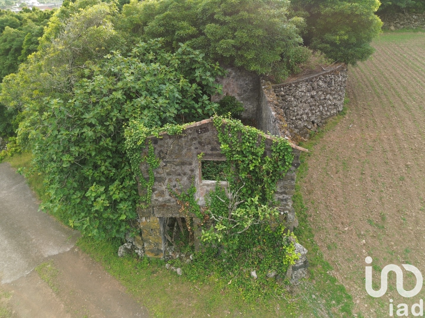 Moradia T0 à venda em Criação Velha, Madalena — foto 6