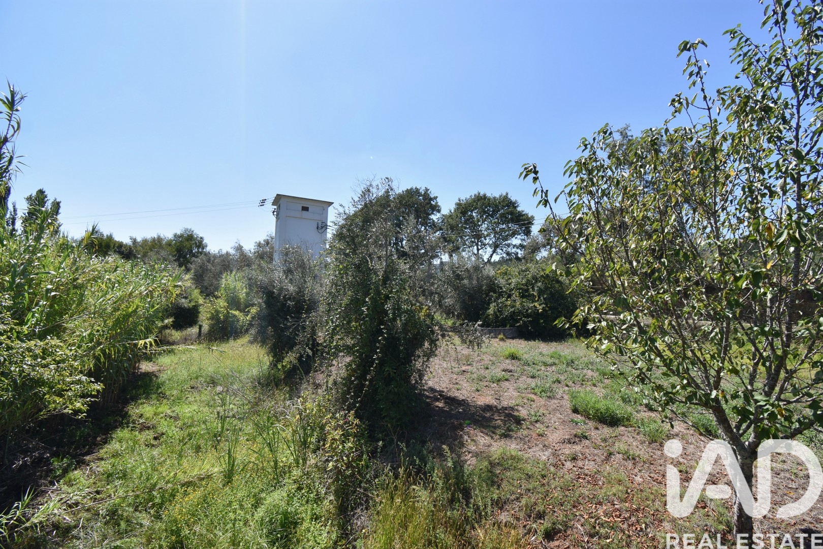 Moradia T3 à venda em São Miguel, Santa Eufémia e Rabaçal, Penela — foto 6