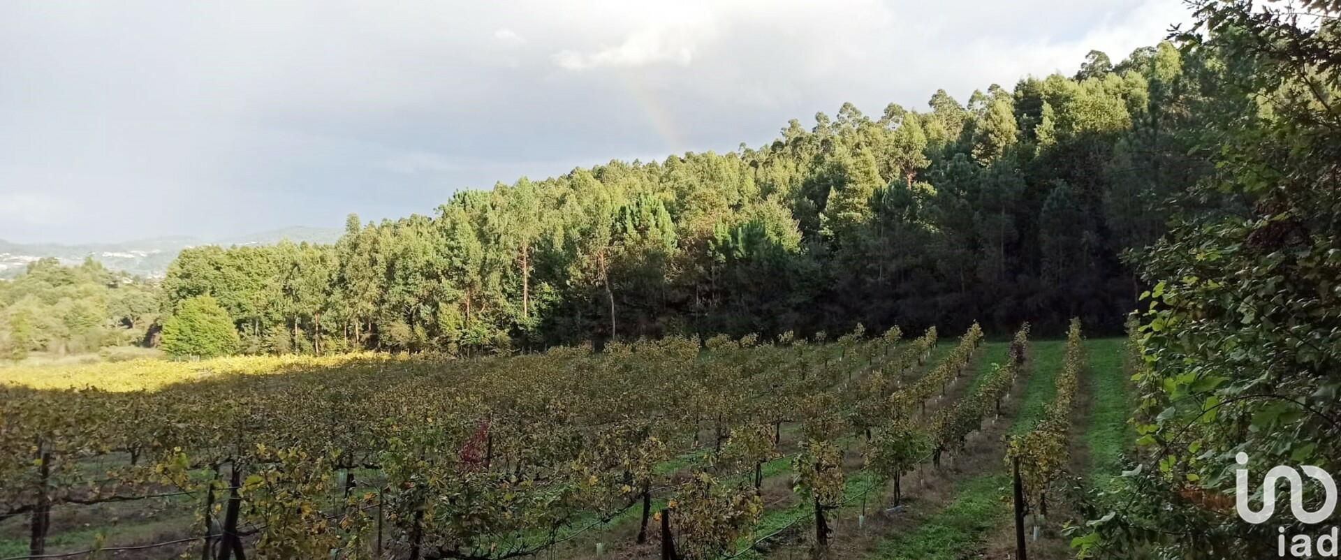 Moradia T3 à venda em Gamil e Midões, Barcelos — foto 4