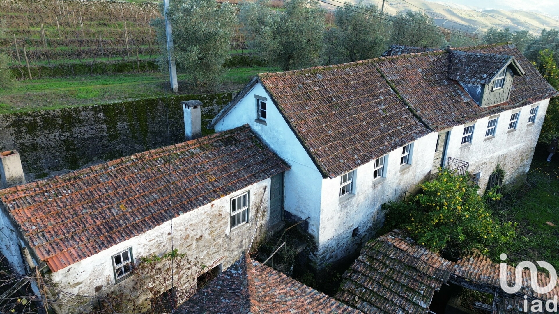 Moradia T3 à venda em Lobrigos (São Miguel e São João Baptista) e Sanhoane, Santa Marta de Penaguião — foto 5