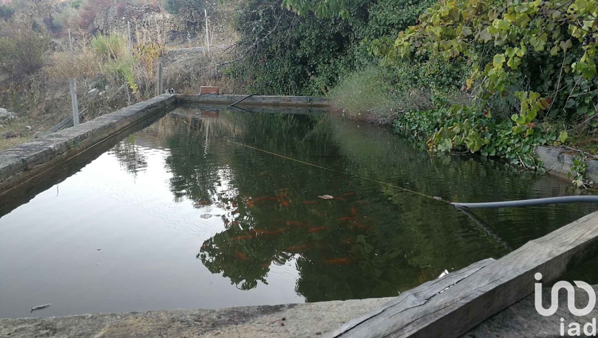 Moradia T4 à venda em Montes da Senhora, Proença-a-Nova — foto 17