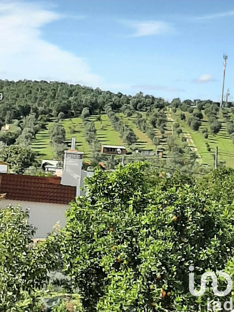 Moradia T0 à venda em Galveias, Ponte de Sor — foto 3