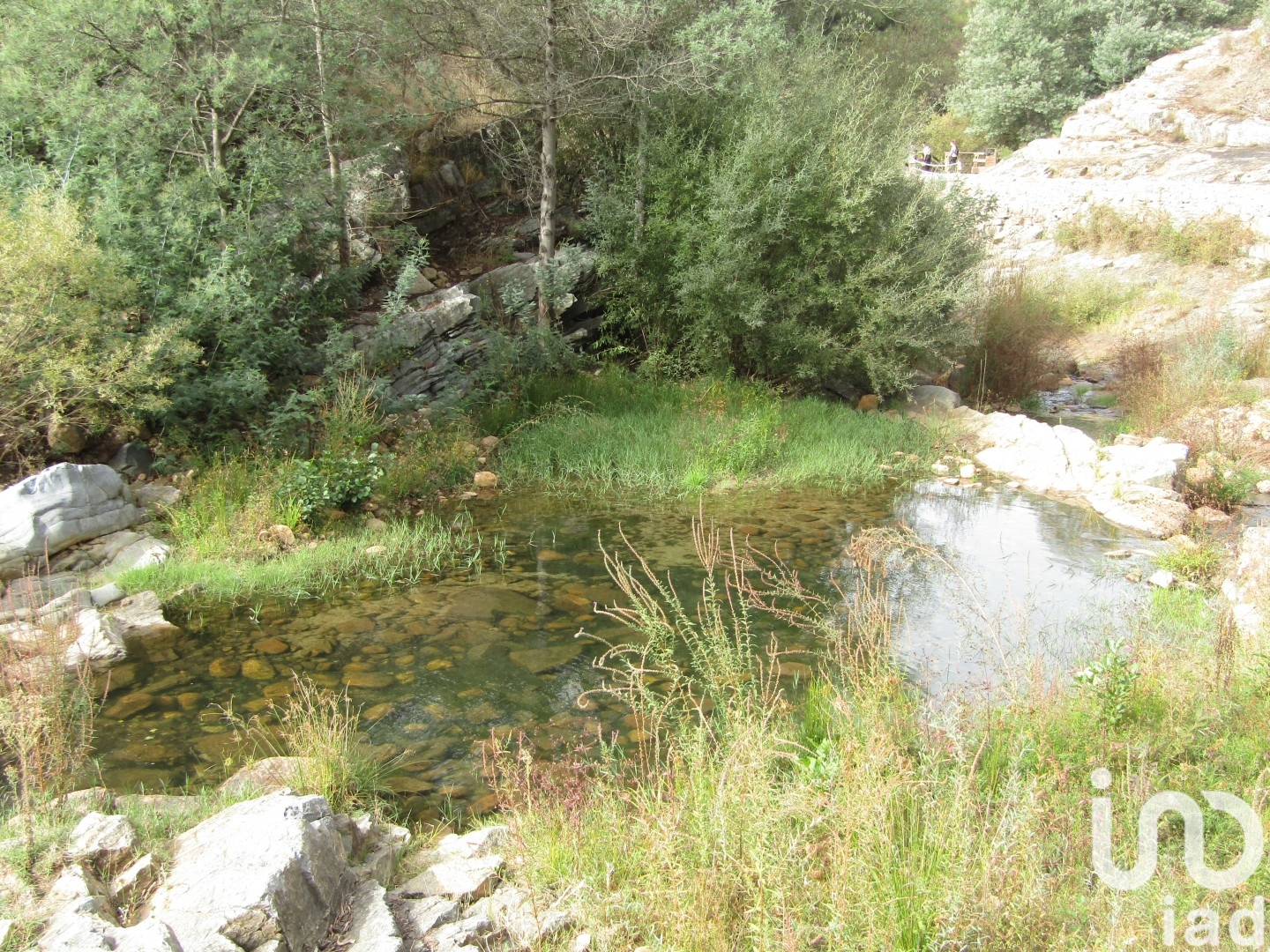 Moradia T0 à venda em Santiago de Montalegre, Sardoal — foto 7