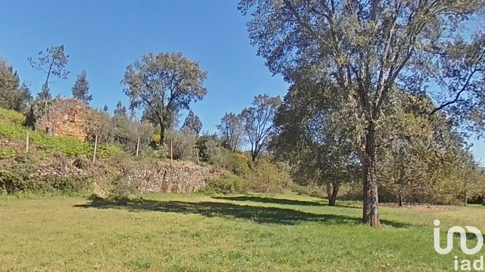 Moradia T0 à venda em Alvares, Góis — foto 5