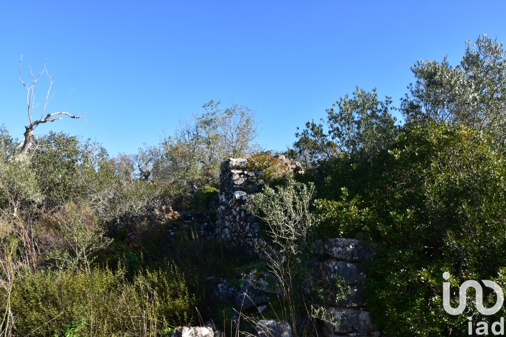 Moradia T0 à venda em Freixianda, Ribeira do Fárrio e Formigais, Ourém — foto 10