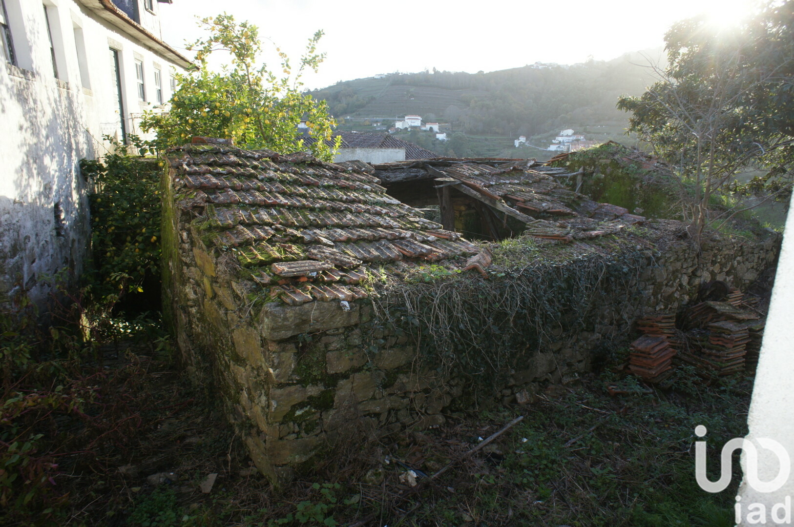 Moradia T3 à venda em Lobrigos (São Miguel e São João Baptista) e Sanhoane, Santa Marta de Penaguião — foto 17