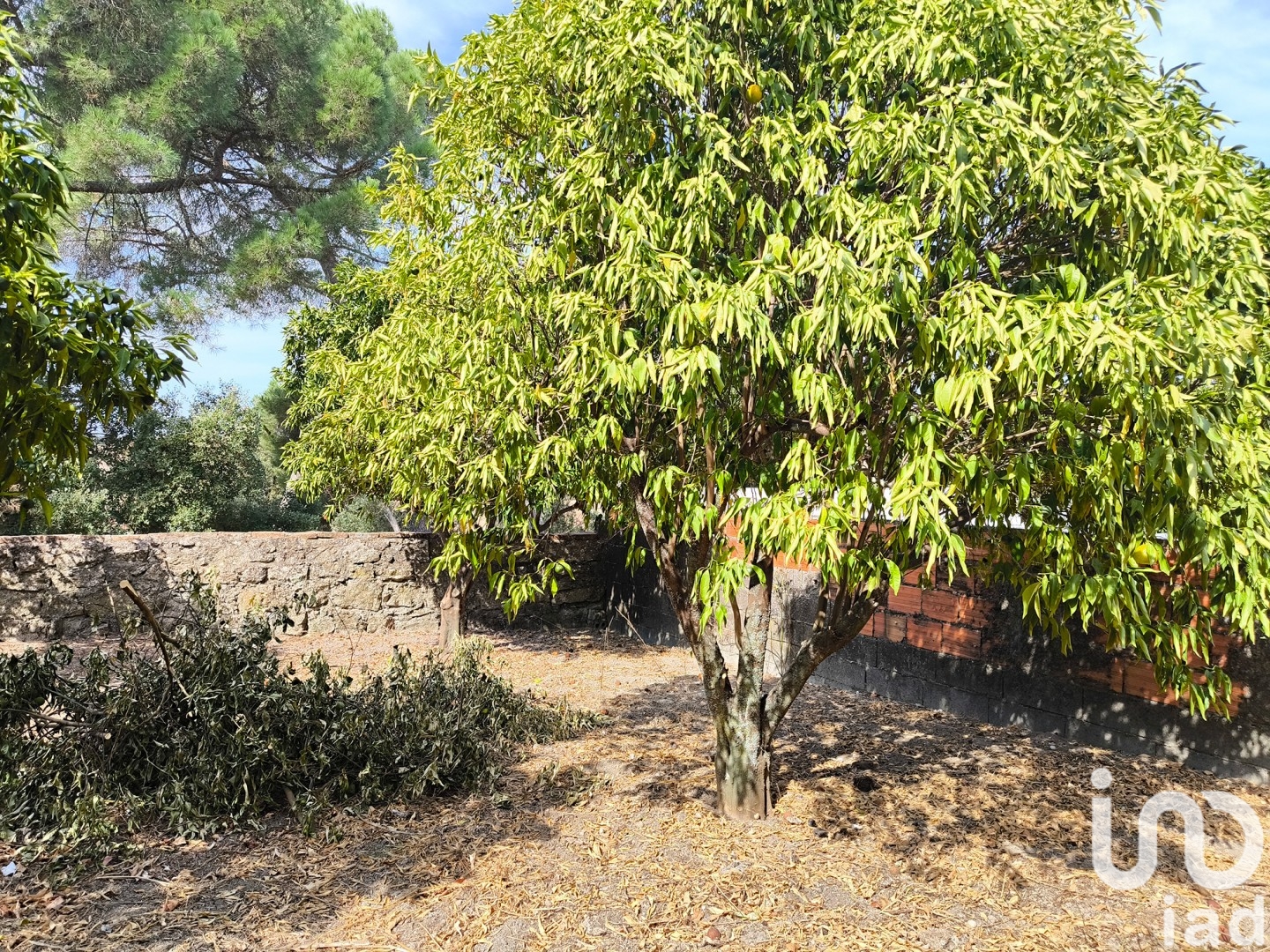 Moradia T2 à venda em Gáfete, Crato — foto 20