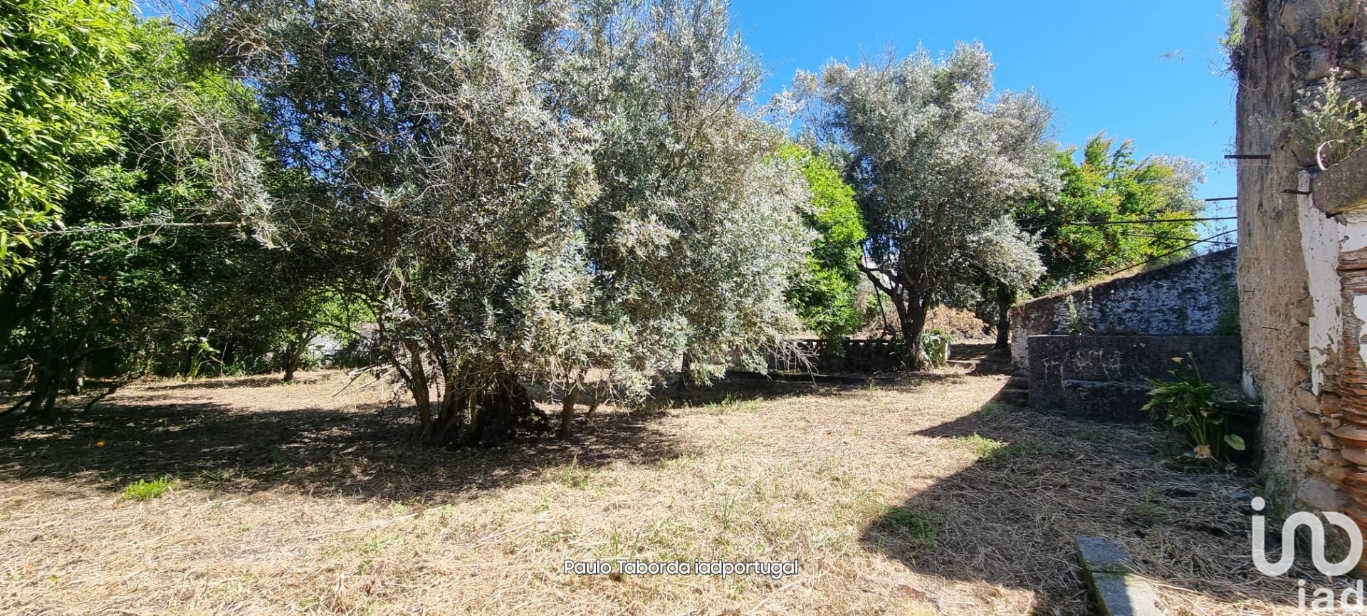 Moradia T6+ à venda em Alpalhão, Nisa — foto 9
