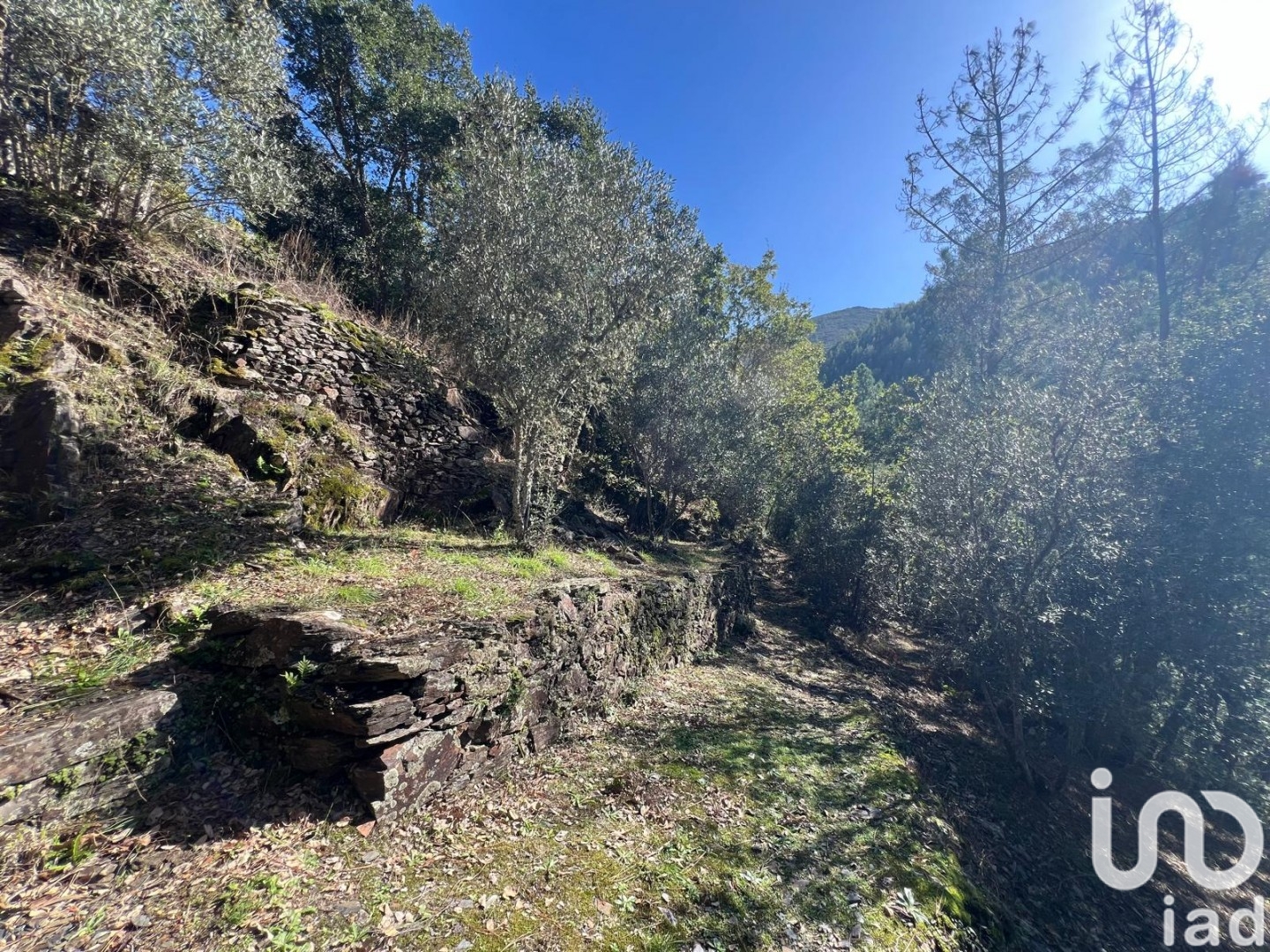 Moradia T0 à venda em Celavisa, Arganil — foto 14