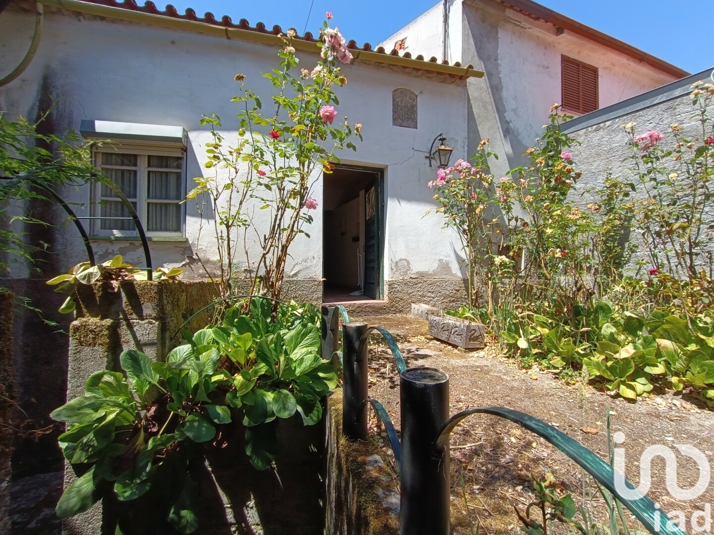 Moradia T4 à venda em Beijós, Carregal do Sal — foto 2