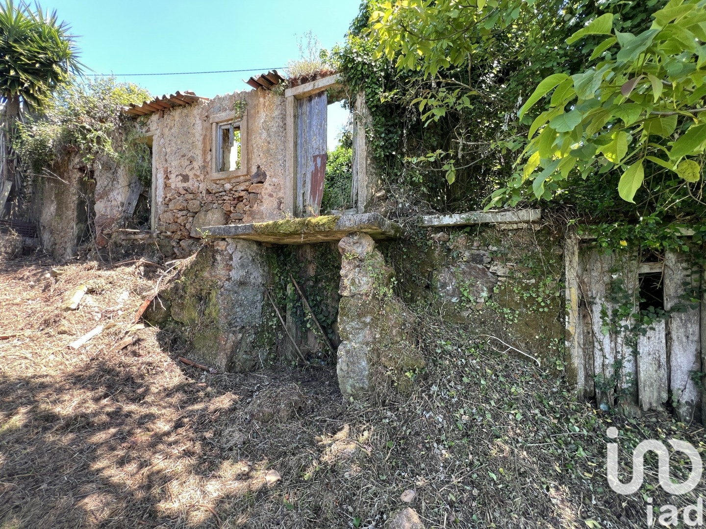 Moradia T0 à venda em São Miguel, Santa Eufémia e Rabaçal, Penela — foto 3