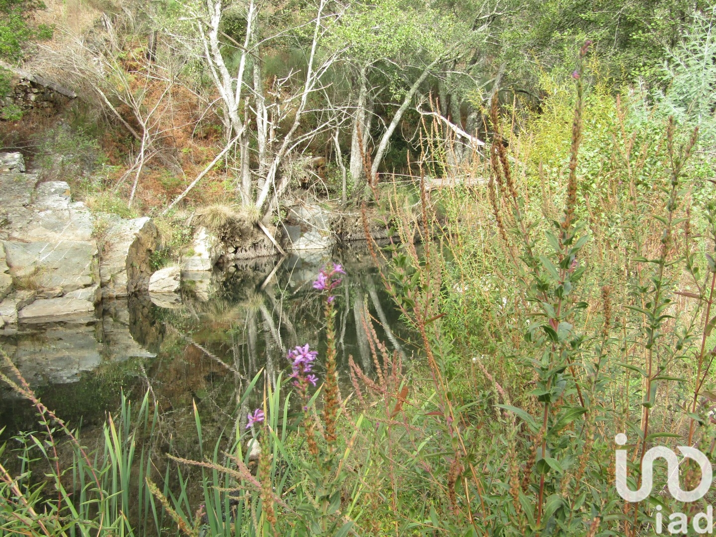 Moradia T0 à venda em Santiago de Montalegre, Sardoal — foto 8