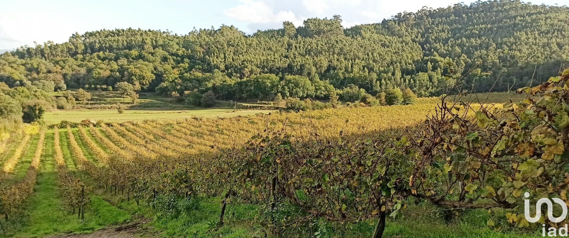Moradia T3 à venda em Gamil e Midões, Barcelos — foto 22