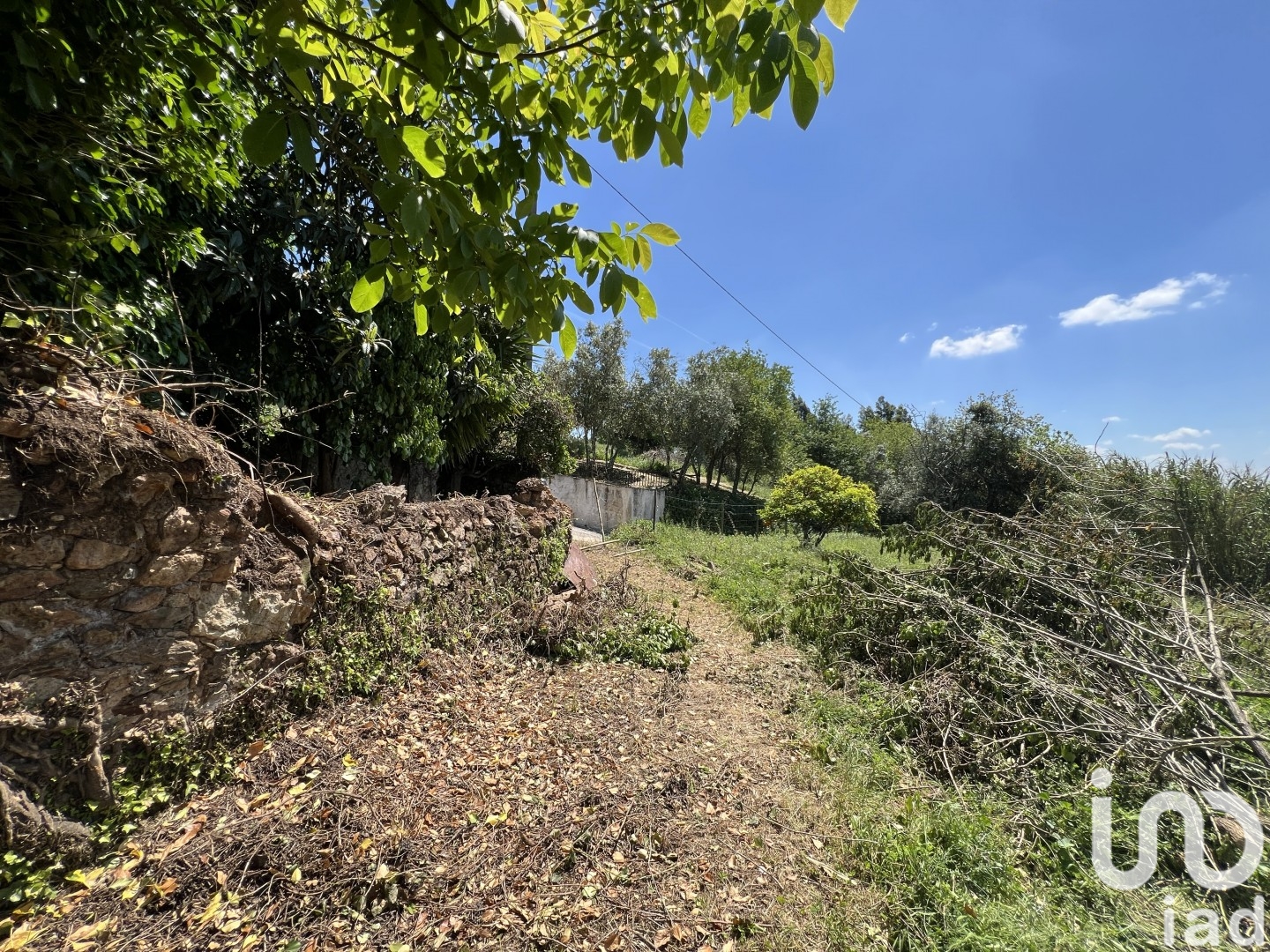 Moradia T0 à venda em São Miguel, Santa Eufémia e Rabaçal, Penela — foto 9