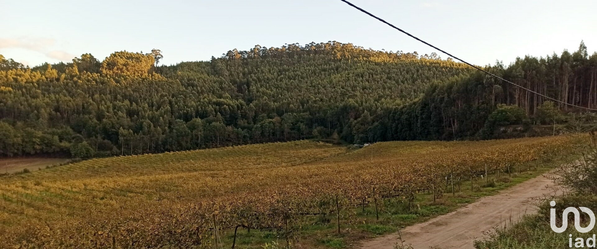 Moradia T3 à venda em Gamil e Midões, Barcelos — foto 23