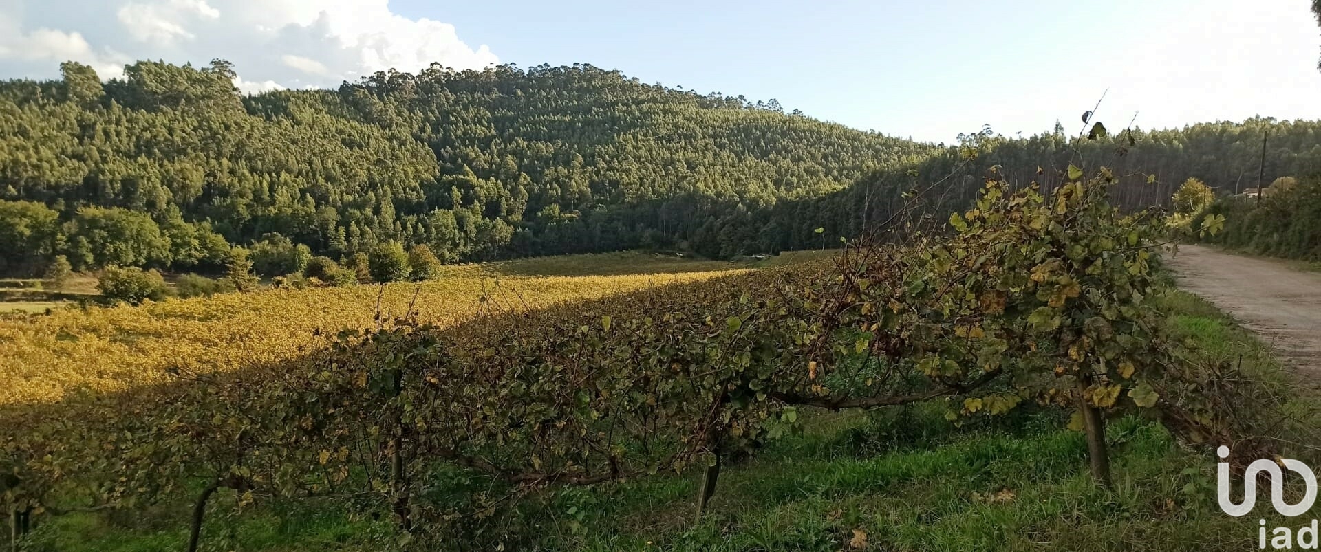 Moradia T3 à venda em Gamil e Midões, Barcelos — foto 2