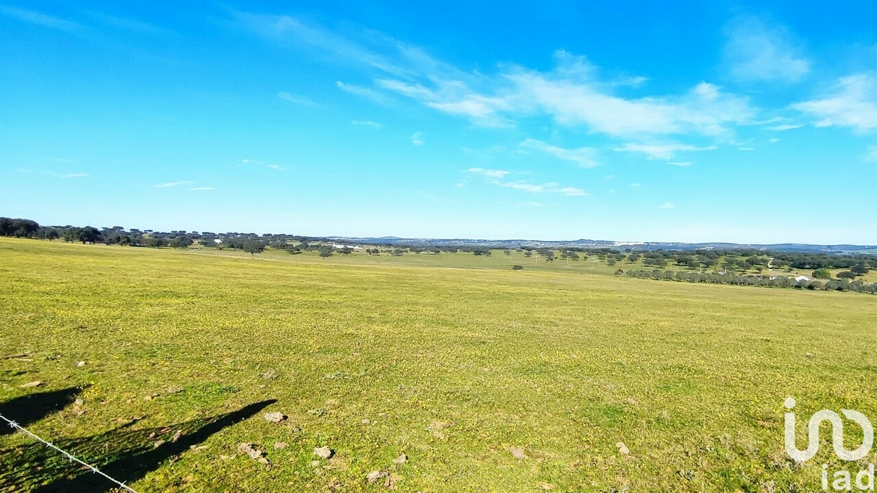 Moradia T6+ à venda em Terrugem E Vila Boim, Elvas — foto 30