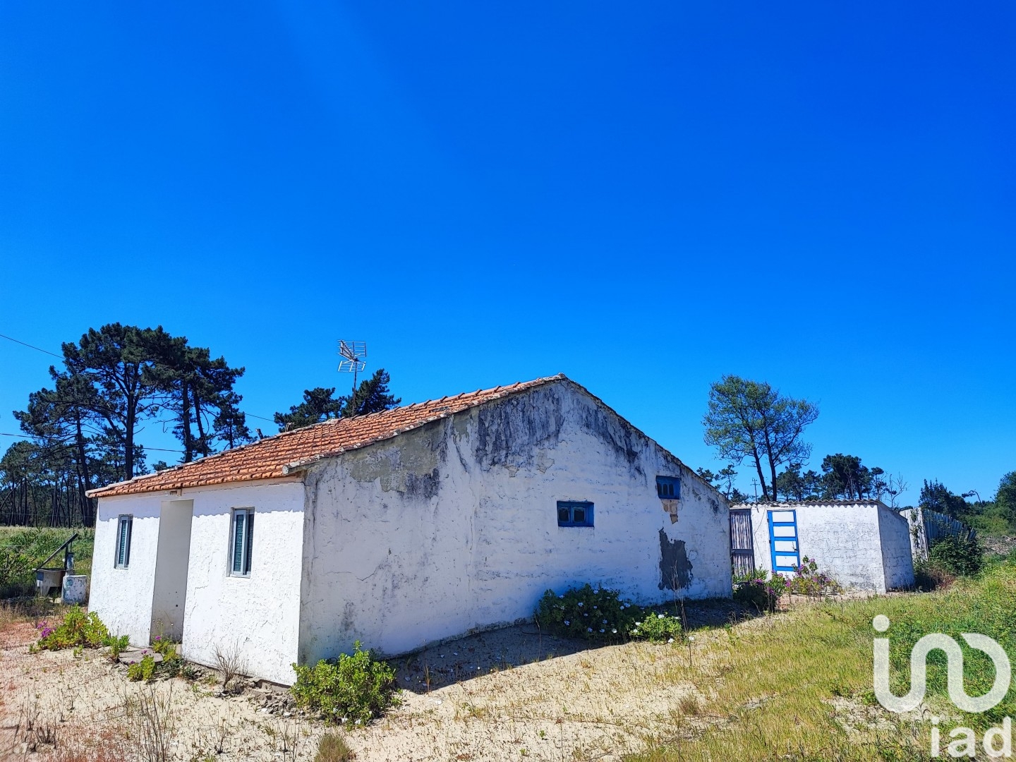 Moradia T2 à venda em Torreira, Murtosa — foto 5
