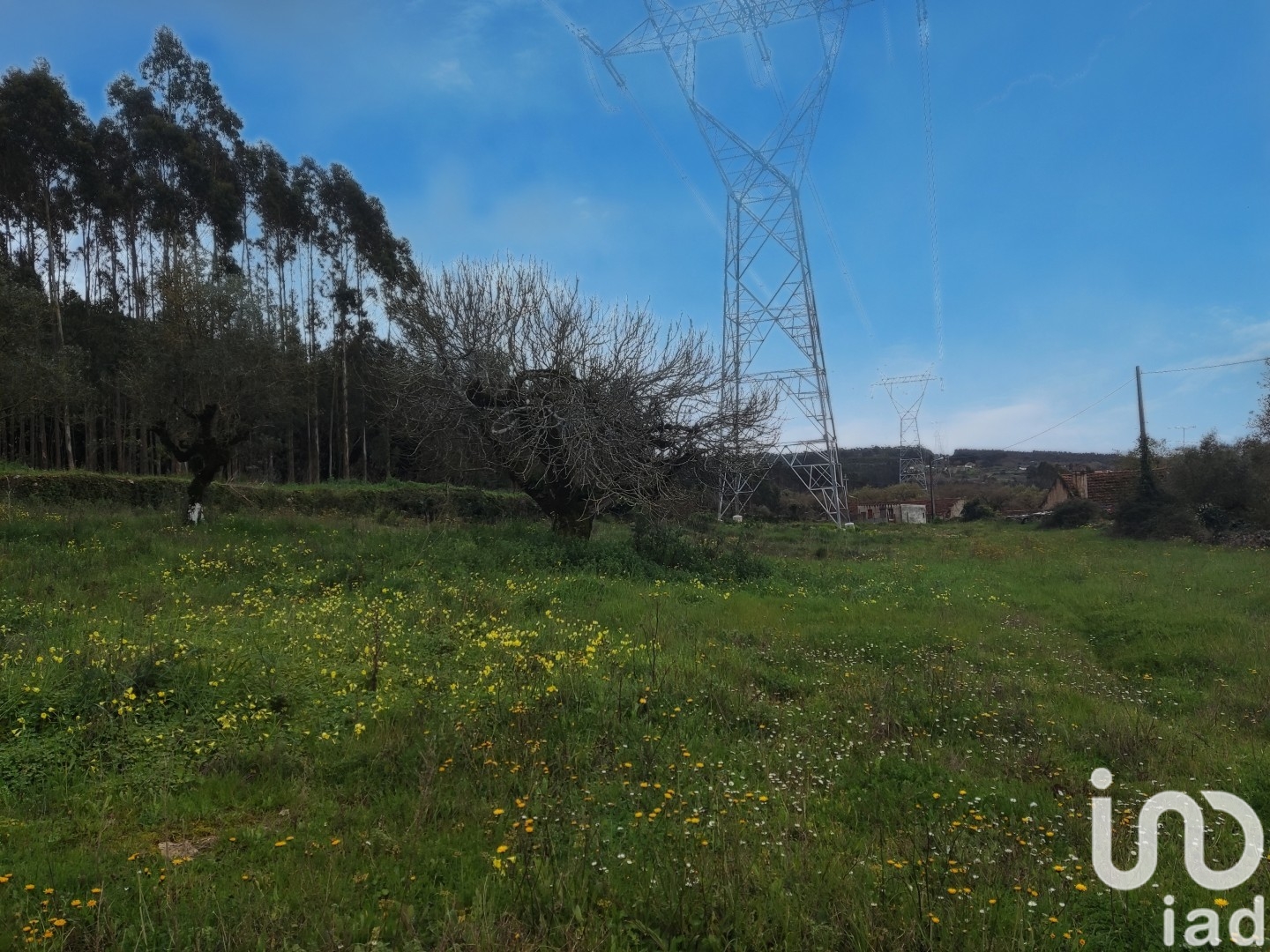 Moradia T2 à venda em Aljubarrota, Alcobaça — foto 5