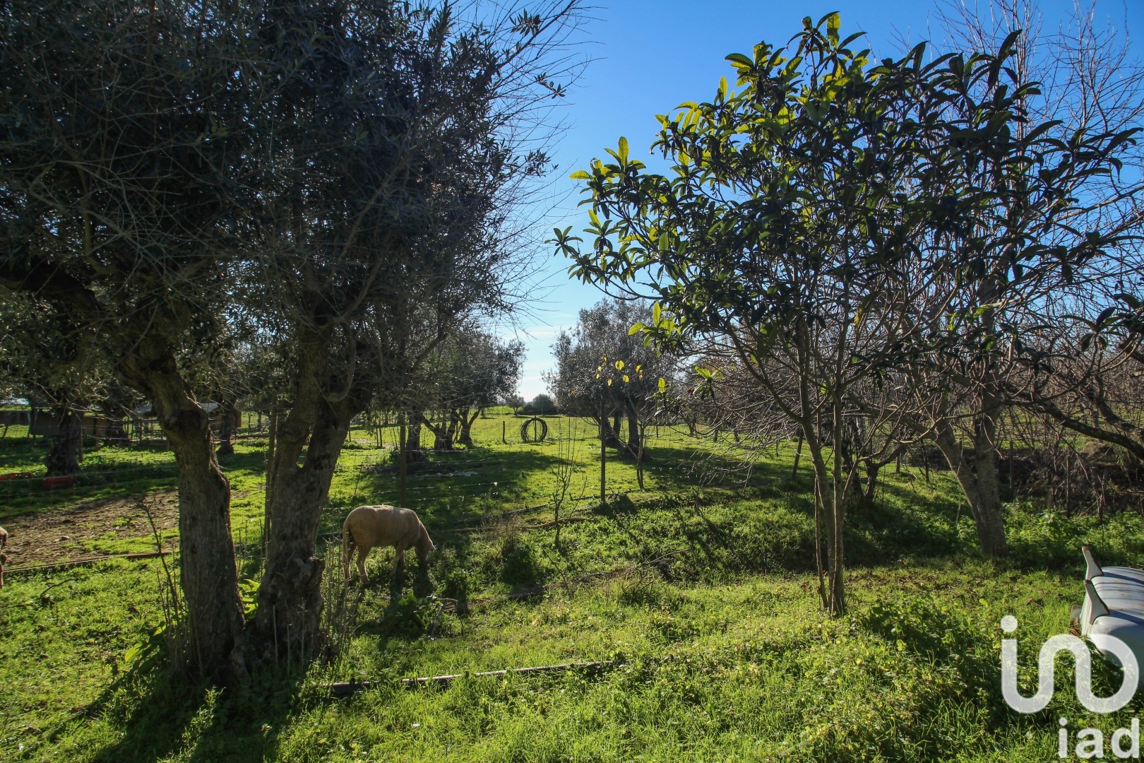 Moradia T0 à venda em Ameixial (Santa Vitória e São Bento), Estremoz — foto 14