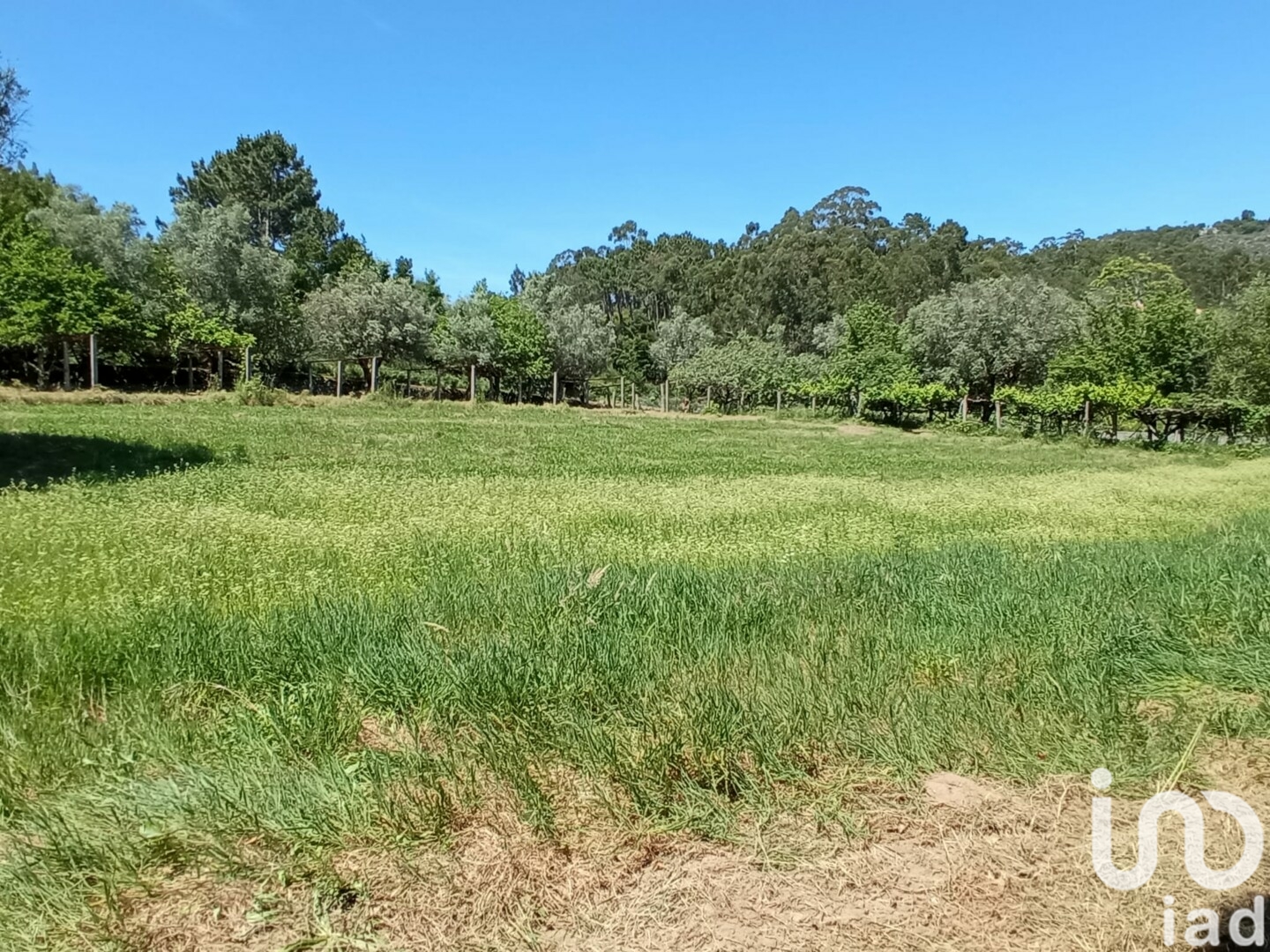 Moradia T2 à venda em Cardielos e Serreleis, Viana do Castelo — foto 19
