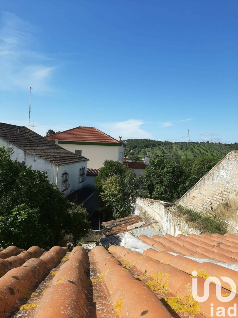 Moradia T0 à venda em Galveias, Ponte de Sor — foto 4