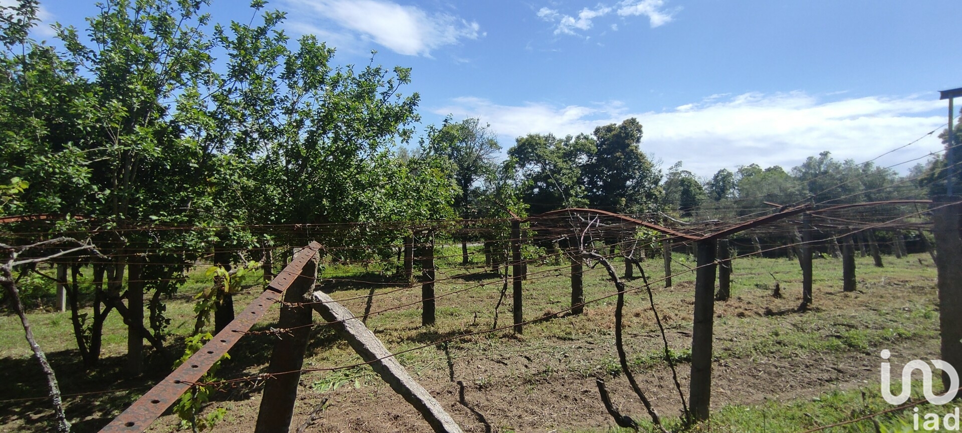 Moradia T2 à venda em Cardielos e Serreleis, Viana do Castelo — foto 25